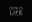 DMFDLIFE logo