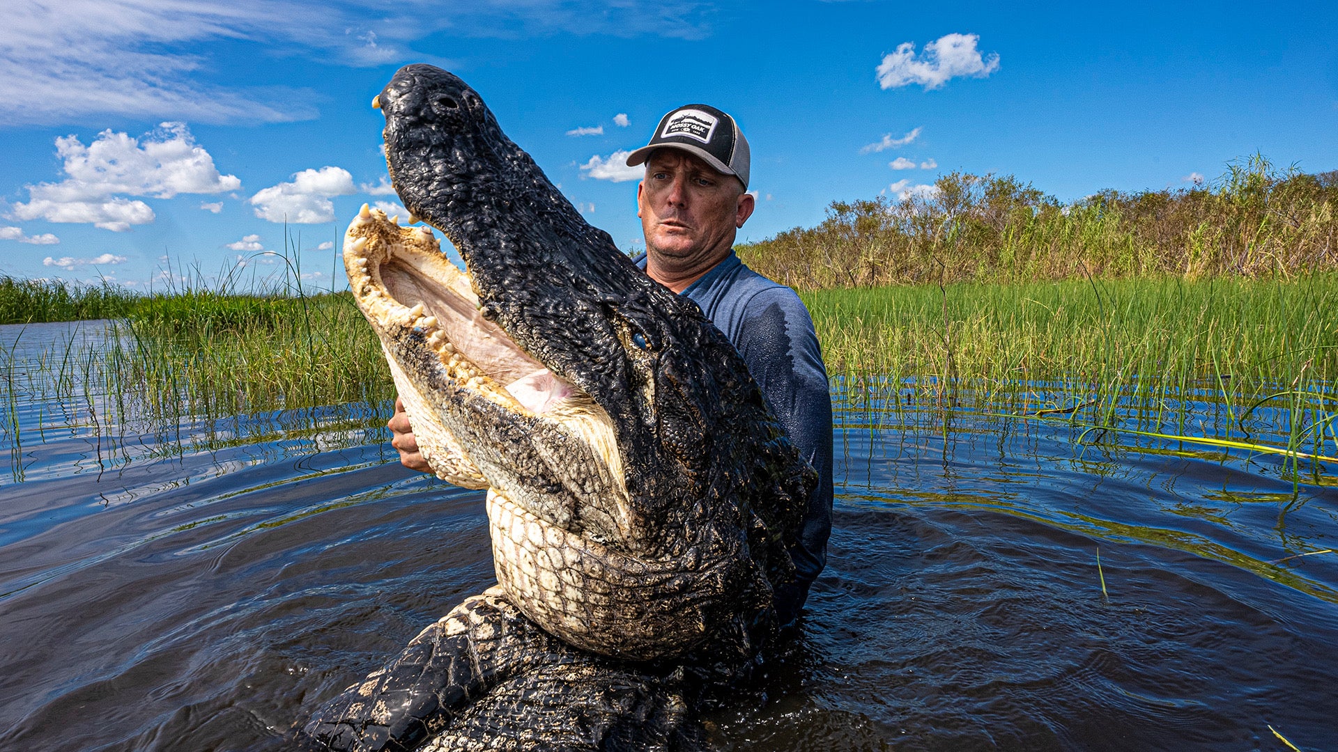 Man holding an alligator in a swampy area with a blue sky and greenery.